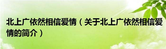 北上广依然相信爱情（关于北上广依然相信爱情的简介）