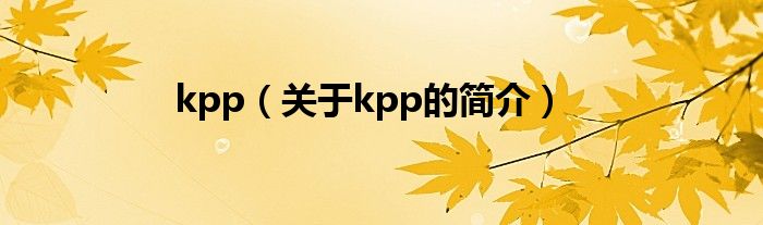 kpp（关于kpp的简介）