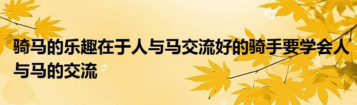 骑马的乐趣在于人与马交流好的骑手要学会人与马的交流