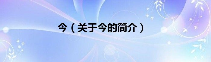 今（关于今的简介）
