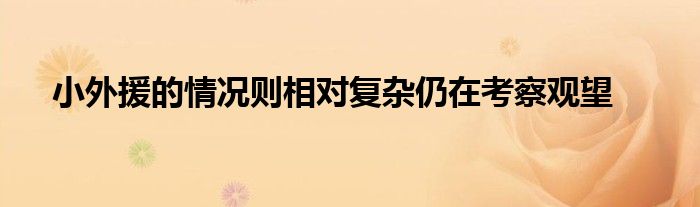 小外援的情况则相对复杂仍在考察观望