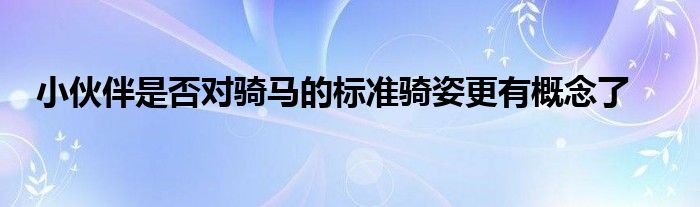 小伙伴是否对骑马的标准骑姿更有概念了