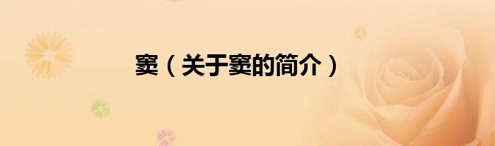 窦（关于窦的简介）