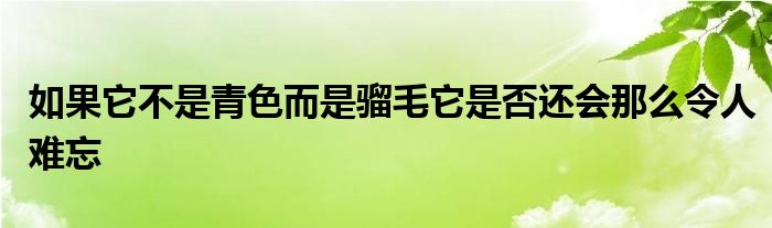 如果它不是青色而是骝毛它是否还会那么令人难忘