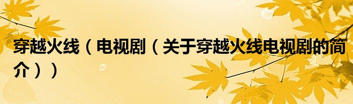 穿越火线（电视剧（关于穿越火线电视剧的简介））