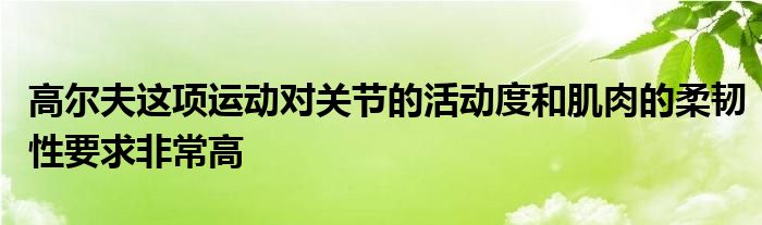 高尔夫这项运动对关节的活动度和肌肉的柔韧性要求非常高