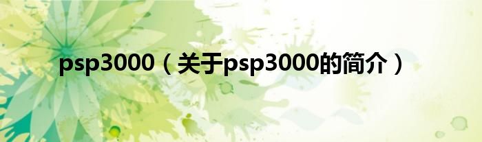 psp3000（关于psp3000的简介）