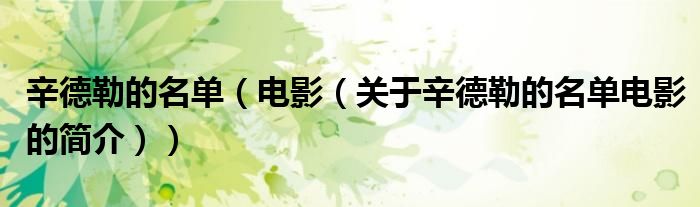 辛德勒的名单（电影（关于辛德勒的名单电影的简介））