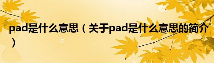 pad是什么意思（关于pad是什么意思的简介）