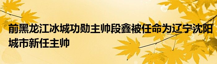 前黑龙江冰城功勋主帅段鑫被任命为辽宁沈阳城市新任主帅