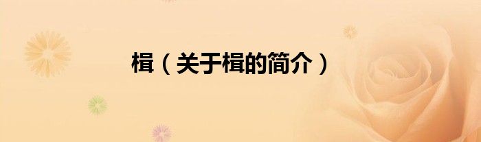 楫（关于楫的简介）