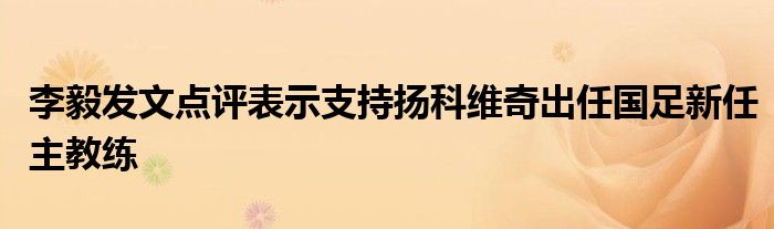 李毅发文点评表示支持扬科维奇出任国足新任主教练