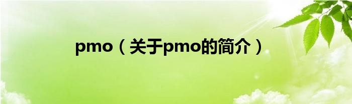 pmo（关于pmo的简介）