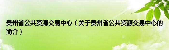 贵州省公共资源交易中心（关于贵州省公共资源交易中心的简介）