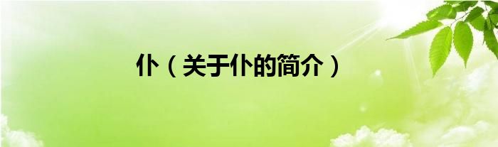 仆（关于仆的简介）