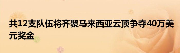 共12支队伍将齐聚马来西亚云顶争夺40万美元奖金