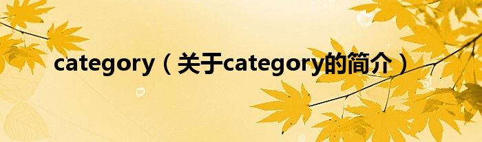 category（关于category的简介）