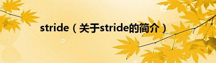 stride（关于stride的简介）