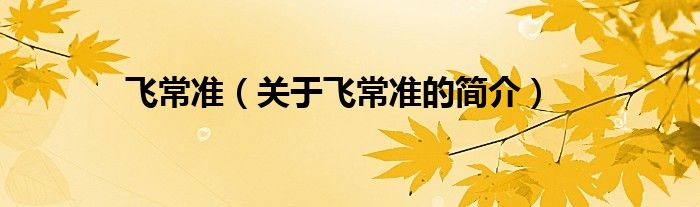 飞常准（关于飞常准的简介）