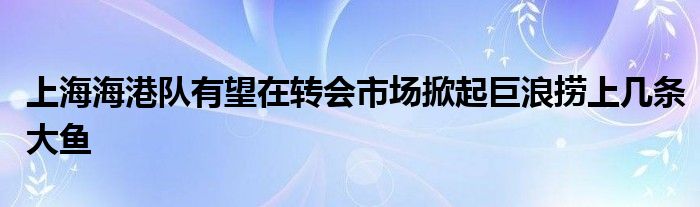 上海海港队有望在转会市场掀起巨浪捞上几条大鱼