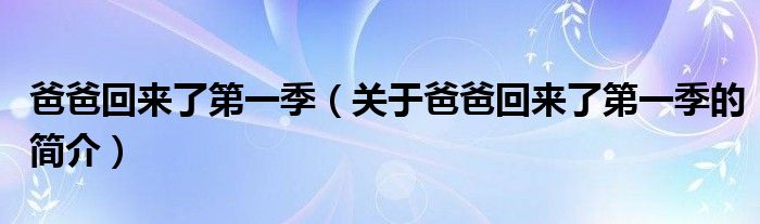 爸爸回来了第一季（关于爸爸回来了第一季的简介）