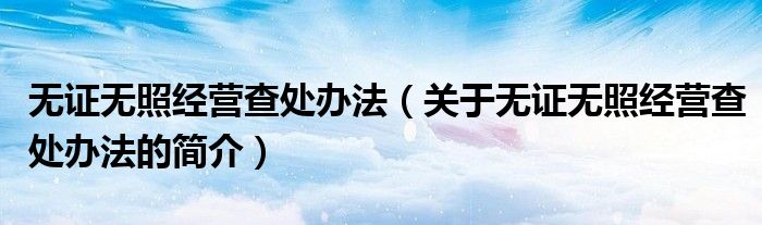 无证无照经营查处办法（关于无证无照经营查处办法的简介）