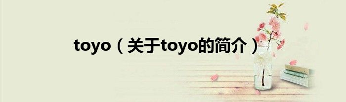 toyo（关于toyo的简介）