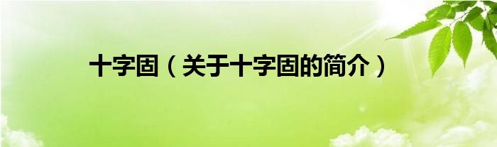 十字固（关于十字固的简介）