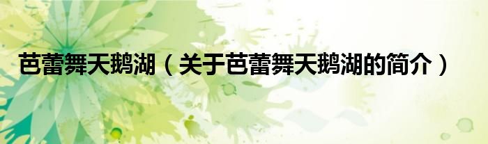 芭蕾舞天鹅湖（关于芭蕾舞天鹅湖的简介）