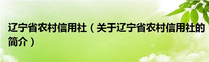 辽宁省农村信用社（关于辽宁省农村信用社的简介）