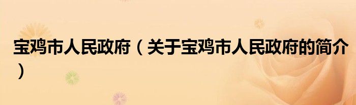 宝鸡市人民政府（关于宝鸡市人民政府的简介）
