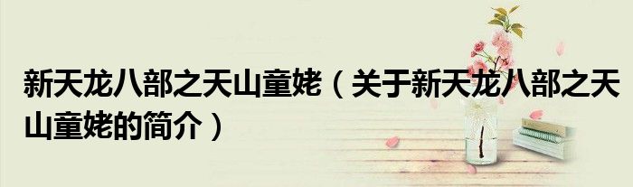 新天龙八部之天山童姥（关于新天龙八部之天山童姥的简介）