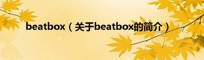 beatbox（关于beatbox的简介）