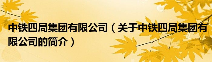 中铁四局集团有限公司（关于中铁四局集团有限公司的简介）