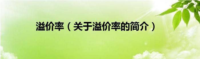 溢价率（关于溢价率的简介）