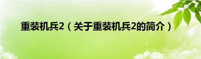 重装机兵2（关于重装机兵2的简介）