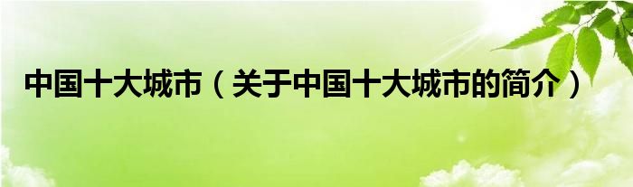 中国十大城市（关于中国十大城市的简介）