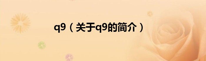 q9（关于q9的简介）