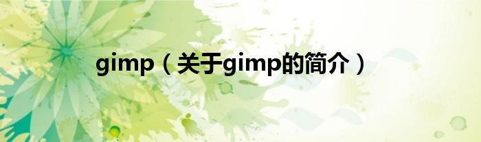 gimp（关于gimp的简介）