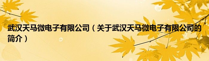 武汉天马微电子有限公司（关于武汉天马微电子有限公司的简介）