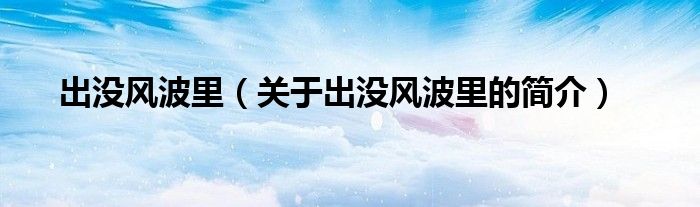 出没风波里（关于出没风波里的简介）