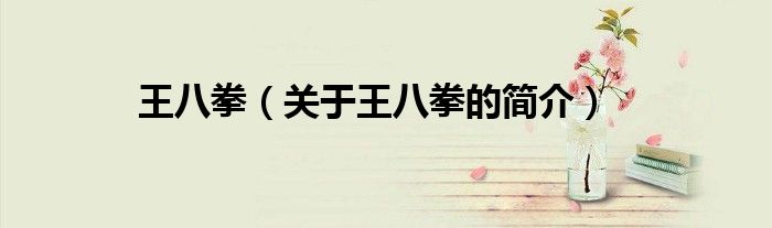 王八拳（关于王八拳的简介）