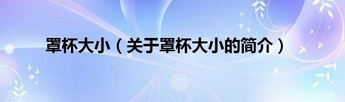 罩杯大小（关于罩杯大小的简介）