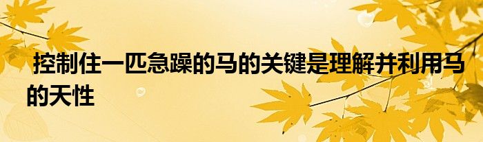  控制住一匹急躁的马的关键是理解并利用马的天性