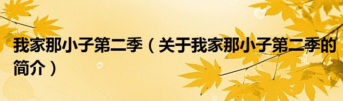 我家那小子第二季（关于我家那小子第二季的简介）