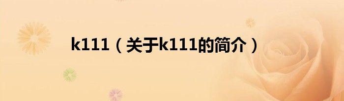 k111（关于k111的简介）