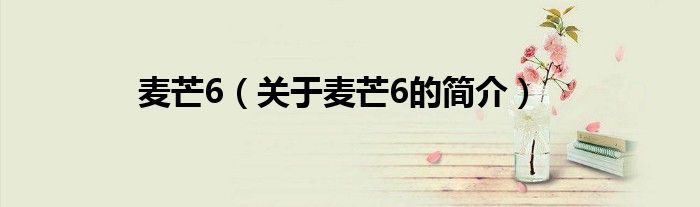 麦芒6（关于麦芒6的简介）