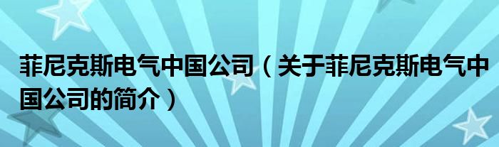 菲尼克斯电气中国公司（关于菲尼克斯电气中国公司的简介）