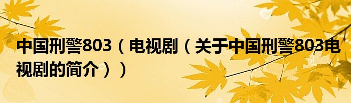 中国刑警803（电视剧（关于中国刑警803电视剧的简介））