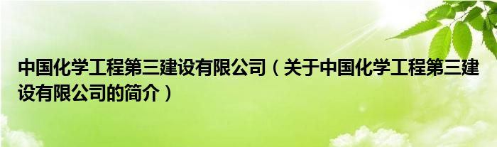 中国化学工程第三建设有限公司（关于中国化学工程第三建设有限公司的简介）